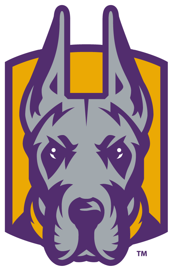 Albany Great Danes 2020-Pres Alternate Logo v3 diy iron on heat transfer